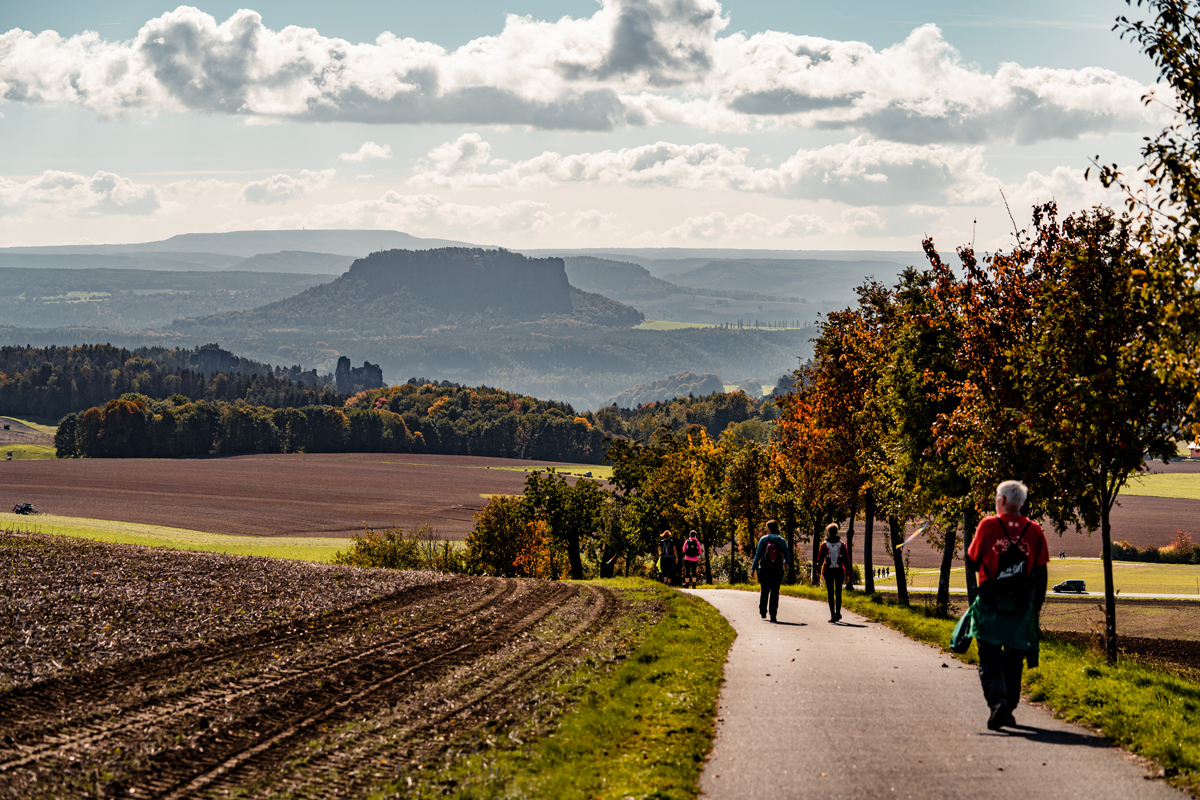 AdventureWalk Sächsische Schweiz: Nur noch vier Wochen bis zur Neuauflage